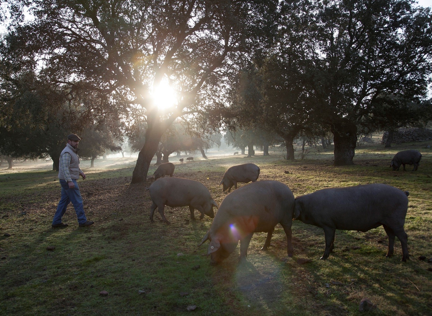 Organic Produce at organic farm
